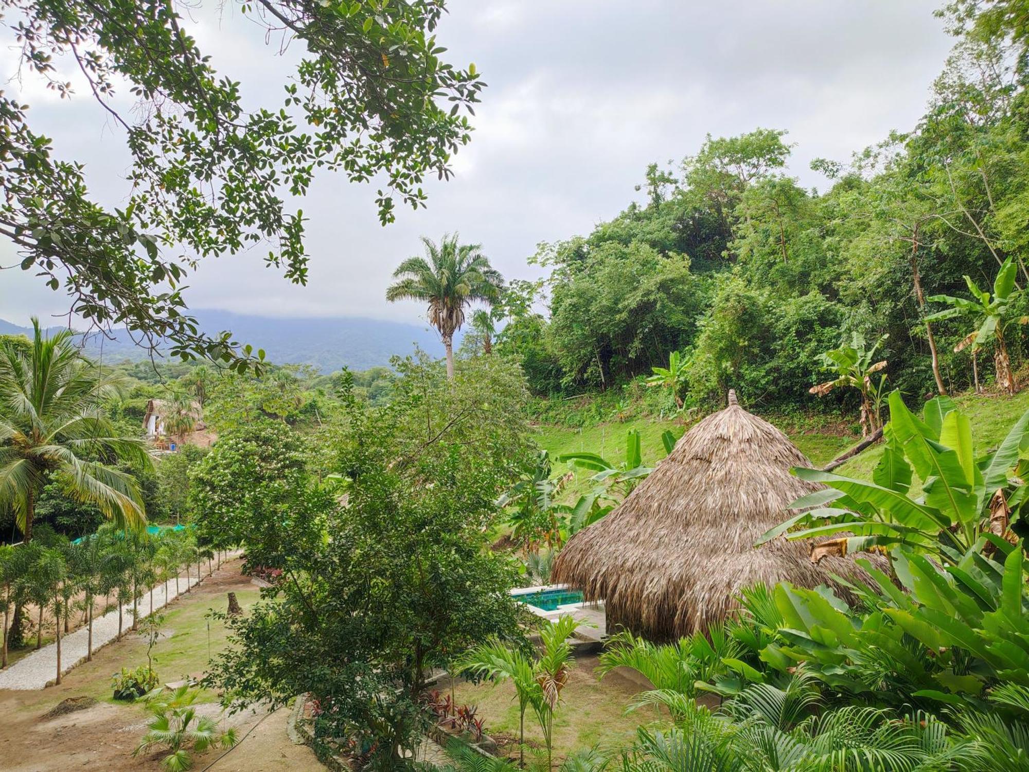 Bed and Breakfast Colibri Parque Tayrona Dentro Del Parque Nacional Tayrona El Zaino Exterior foto